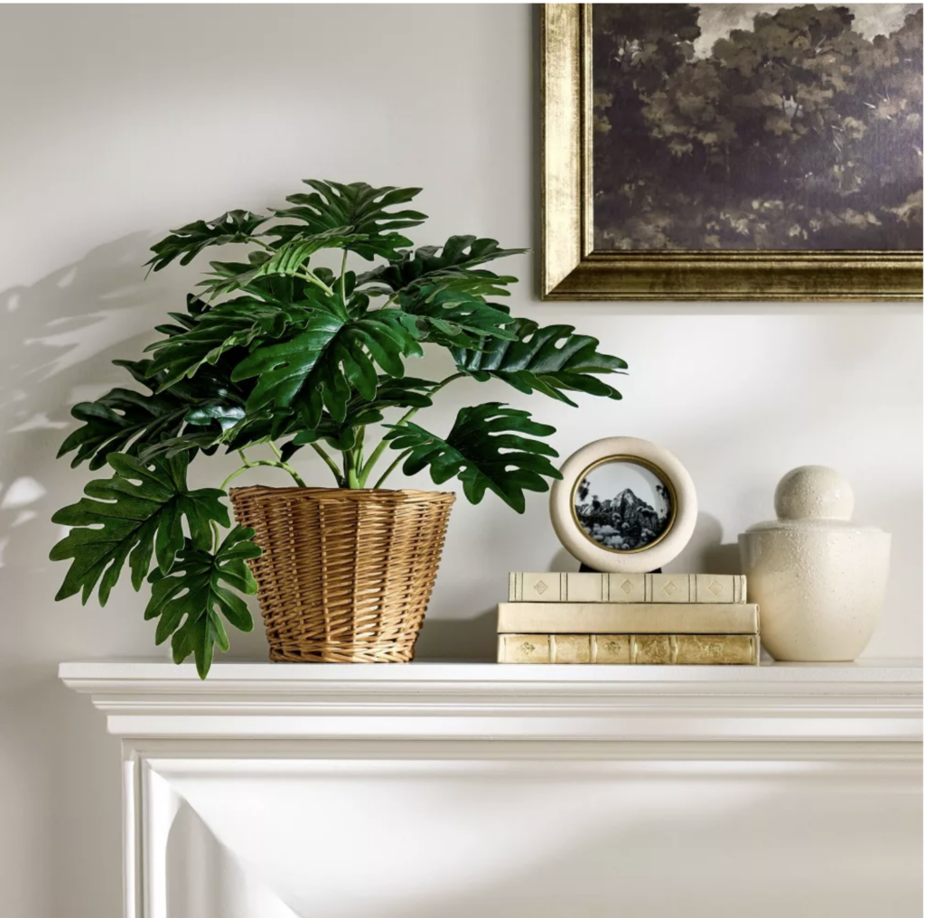 A faux plant in a rattan basket is always a good idea! I love this from the Studio Mcgee and Target Fall collection.