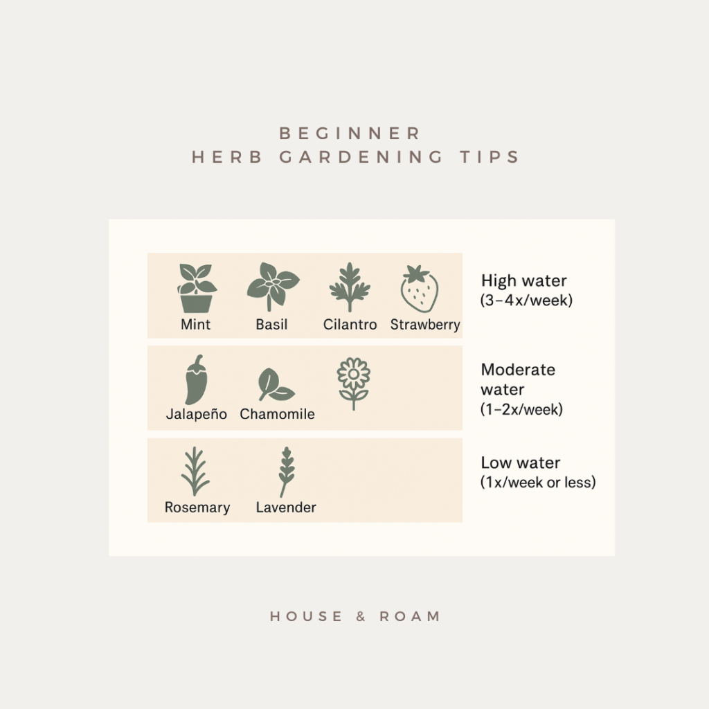 Beginner's guide to herb gardening: planting, watering, and caring for basil, mint, cilantro, and other herbs in a small backyard or balcony garden.
